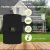 Points forts du Filtre anti-odeurs pour fosse septique, toutes eaux, poste de relevage, cartouche au charbon actif coloris noir