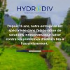 TRAITEMENT BAC A GRAISSE , ASSAINISSEMENT : POUDRE AUX ENZYMES 5 KG